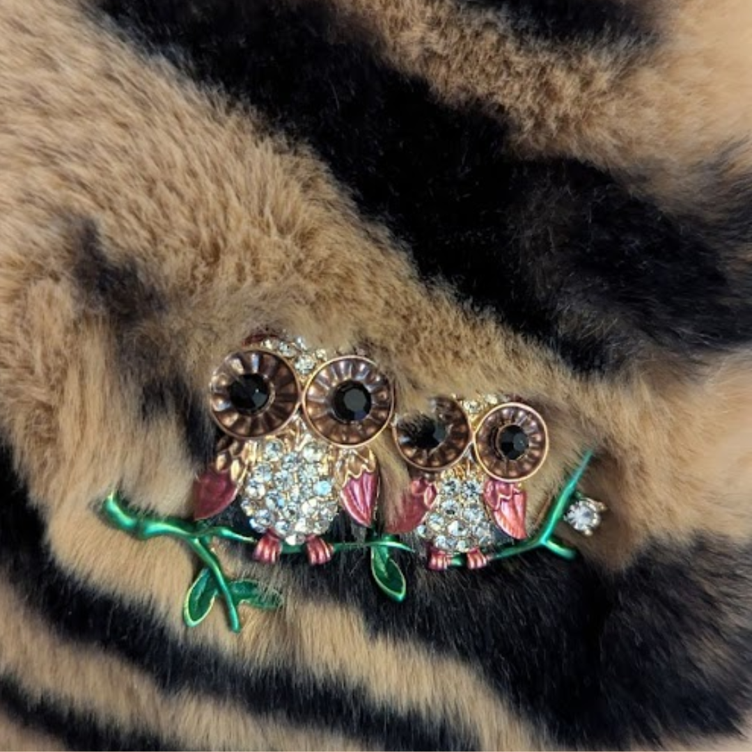 The Tiger Coat